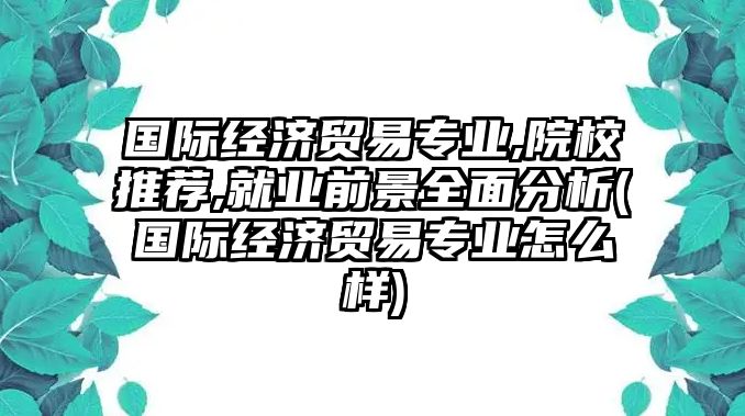 國際經(jīng)濟(jì)貿(mào)易專業(yè),院校推薦,就業(yè)前景全面分析(國際經(jīng)濟(jì)貿(mào)易專業(yè)怎么樣)