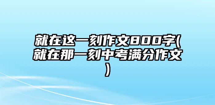 就在這一刻作文800字(就在那一刻中考滿分作文)