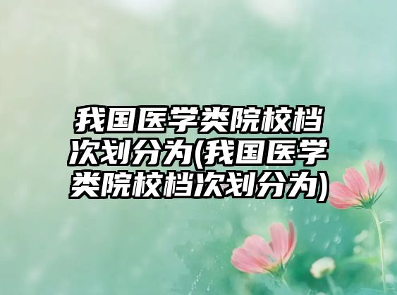 我國醫(yī)學(xué)類院校檔次劃分為(我國醫(yī)學(xué)類院校檔次劃分為)