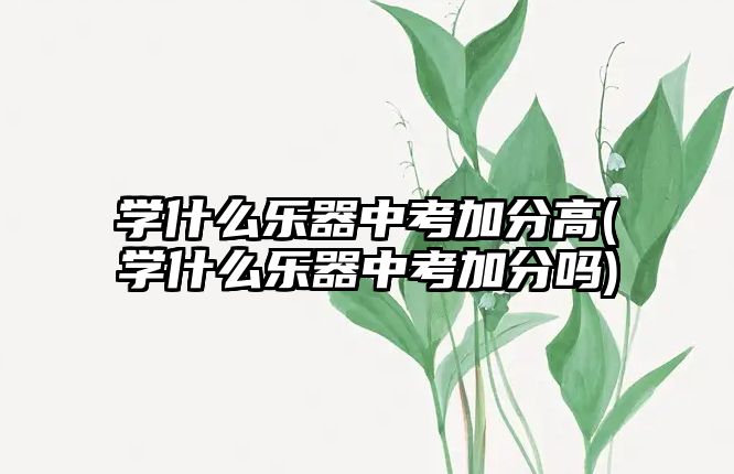 學(xué)什么樂器中考加分高(學(xué)什么樂器中考加分嗎)