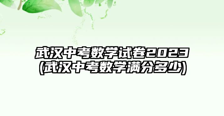 武漢中考數(shù)學試卷2023(武漢中考數(shù)學滿分多少)