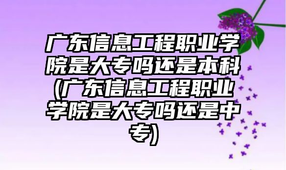 廣東信息工程職業(yè)學(xué)院是大專嗎還是本科(廣東信息工程職業(yè)學(xué)院是大專嗎還是中專)