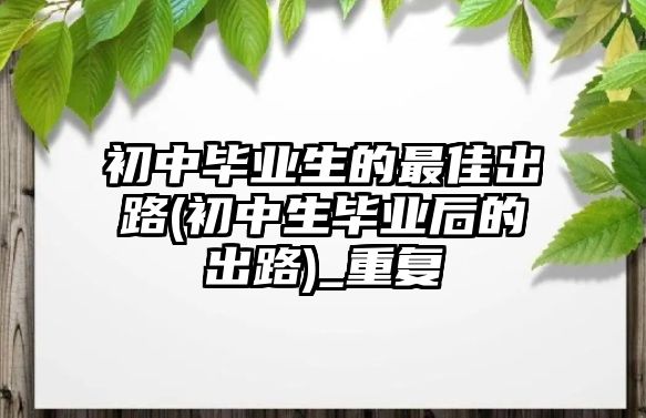 初中畢業(yè)生的最佳出路(初中生畢業(yè)后的出路)_重復(fù)