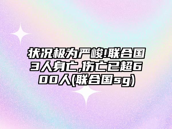 狀況極為嚴峻!聯(lián)合國3人身亡,傷亡已超600人(聯(lián)合國sg)