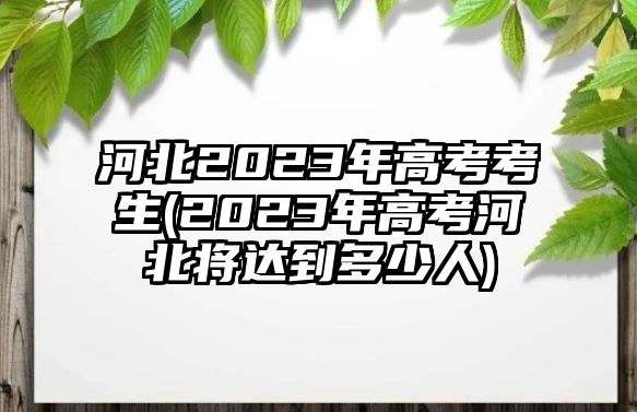 河北2023年高考考生(2023年高考河北將達(dá)到多少人)