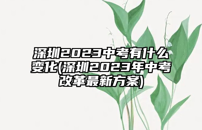 深圳2023中考有什么變化(深圳2023年中考改革最新方案)