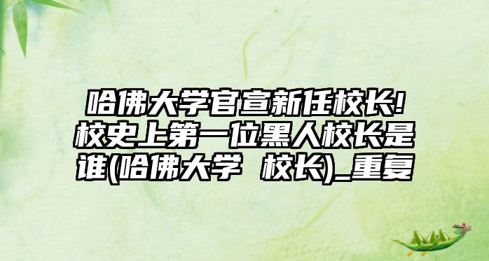 哈佛大學官宣新任校長!校史上第一位黑人校長是誰(哈佛大學 校長)_重復