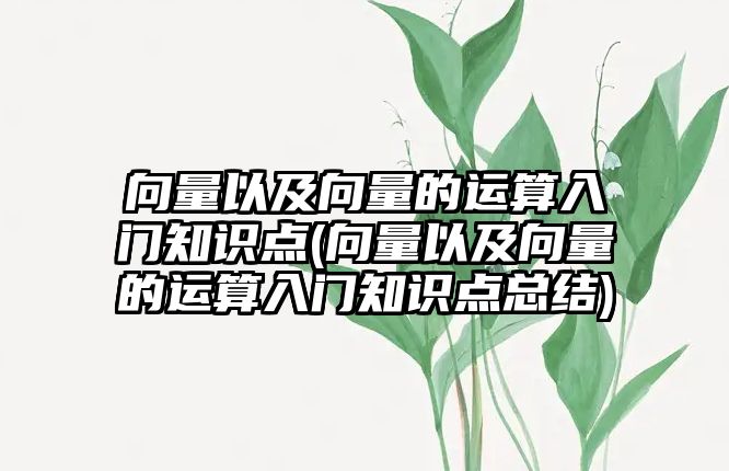 向量以及向量的運算入門知識點(向量以及向量的運算入門知識點總結(jié))