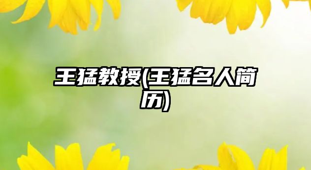 王猛教授(王猛名人簡(jiǎn)歷)