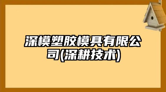 深模塑膠模具有限公司(深耕技術(shù))