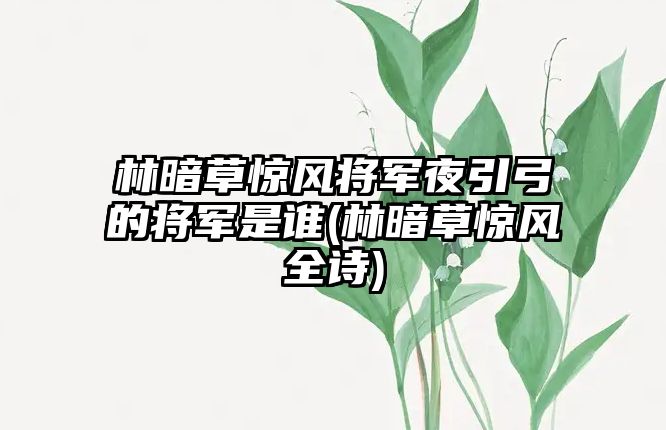 林暗草驚風(fēng)將軍夜引弓的將軍是誰(林暗草驚風(fēng)全詩)