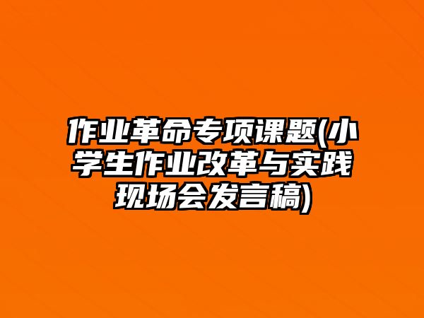 作業(yè)革命專項(xiàng)課題(小學(xué)生作業(yè)改革與實(shí)踐現(xiàn)場(chǎng)會(huì)發(fā)言稿)