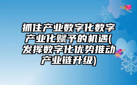 抓住產業(yè)數(shù)字化數(shù)字產業(yè)化賦予的機遇(發(fā)揮數(shù)字化優(yōu)勢推動產業(yè)鏈升級)