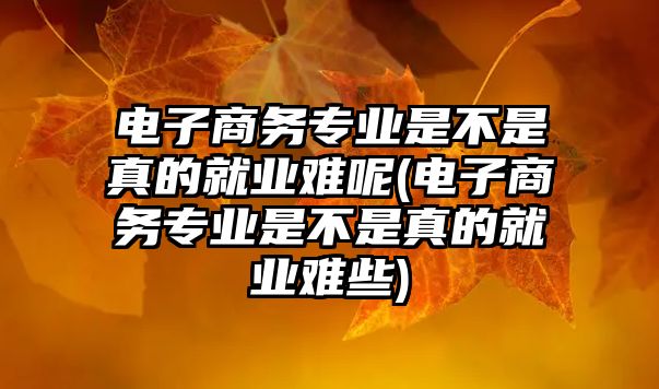 電子商務(wù)專業(yè)是不是真的就業(yè)難呢(電子商務(wù)專業(yè)是不是真的就業(yè)難些)