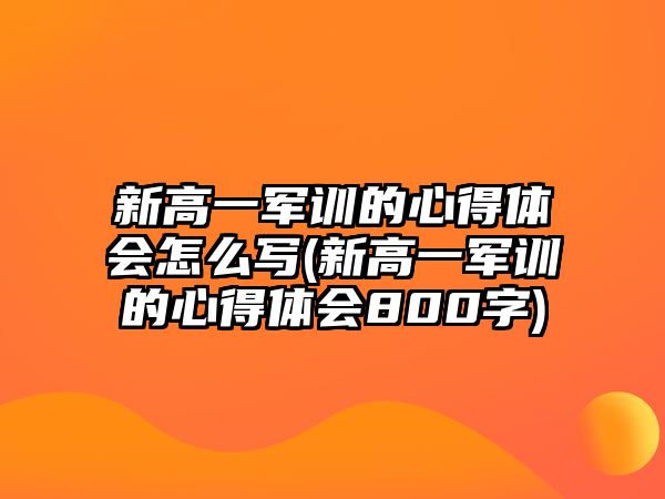 新高一軍訓(xùn)的心得體會(huì)怎么寫(新高一軍訓(xùn)的心得體會(huì)800字)