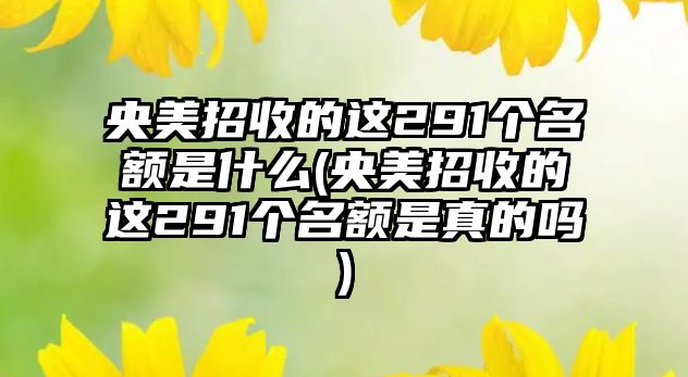 央美招收的這291個名額是什么(央美招收的這291個名額是真的嗎)