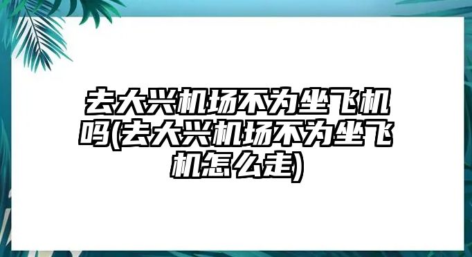 去大興機(jī)場不為坐飛機(jī)嗎(去大興機(jī)場不為坐飛機(jī)怎么走)