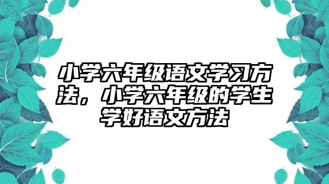 小學六年級語文學習方法，小學六年級的學生學好語文方法