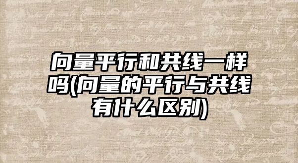 向量平行和共線一樣嗎(向量的平行與共線有什么區(qū)別)