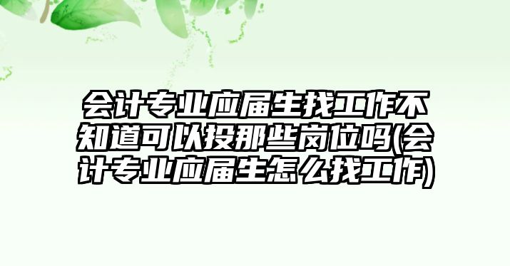 會計專業(yè)應(yīng)屆生找工作不知道可以投那些崗位嗎(會計專業(yè)應(yīng)屆生怎么找工作)