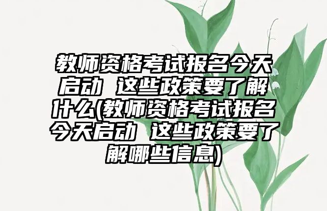 教師資格考試報(bào)名今天啟動(dòng) 這些政策要了解什么(教師資格考試報(bào)名今天啟動(dòng) 這些政策要了解哪些信息)