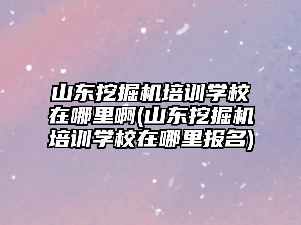 山東挖掘機培訓學校在哪里啊(山東挖掘機培訓學校在哪里報名)