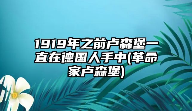 1919年之前盧森堡一直在德國(guó)人手中(革命家盧森堡)