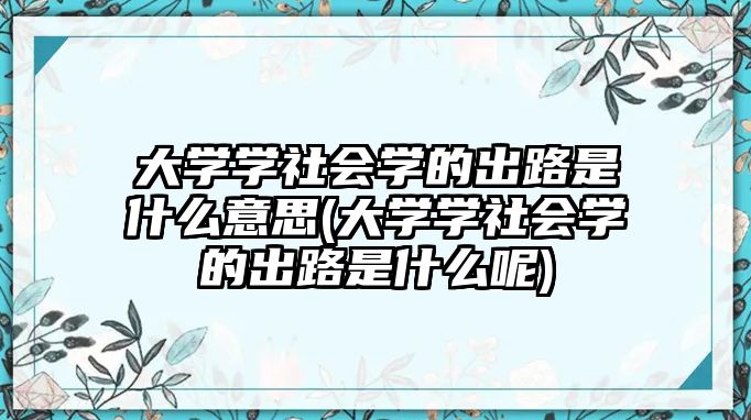 大學學社會學的出路是什么意思(大學學社會學的出路是什么呢)