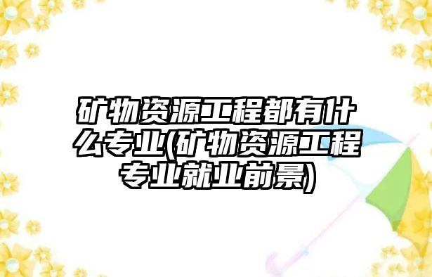 礦物資源工程都有什么專業(yè)(礦物資源工程專業(yè)就業(yè)前景)