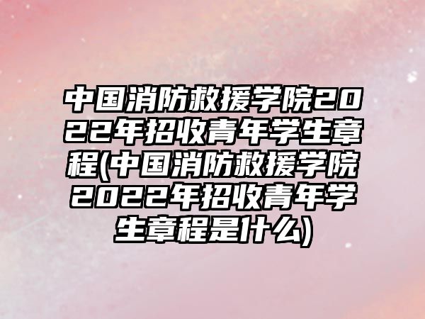 中國消防救援學院2022年招收青年學生章程(中國消防救援學院2022年招收青年學生章程是什么)