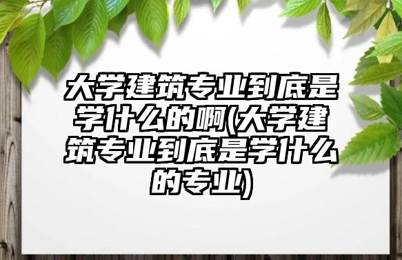 大學建筑專業(yè)到底是學什么的啊(大學建筑專業(yè)到底是學什么的專業(yè))