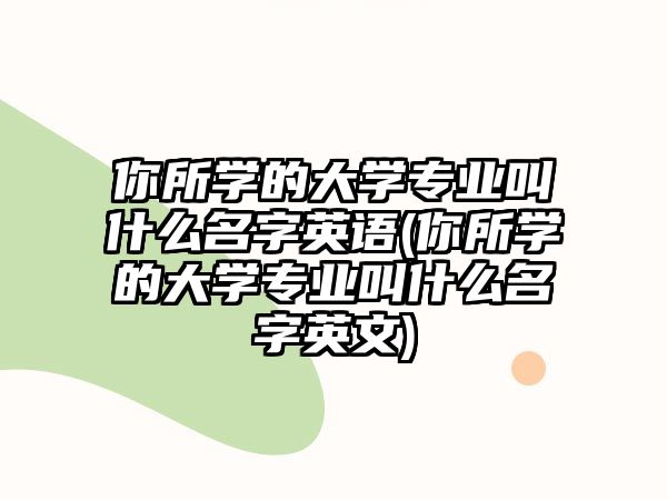 你所學(xué)的大學(xué)專業(yè)叫什么名字英語(你所學(xué)的大學(xué)專業(yè)叫什么名字英文)