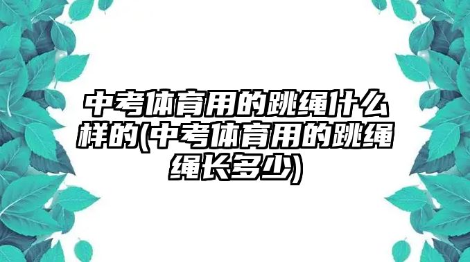 中考體育用的跳繩什么樣的(中考體育用的跳繩繩長多少)