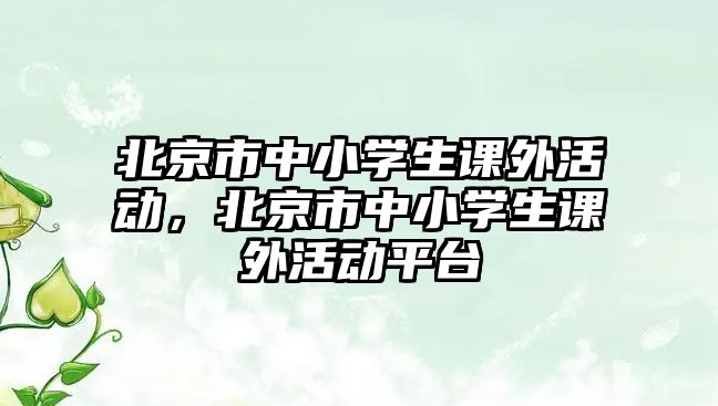 北京市中小學(xué)生課外活動，北京市中小學(xué)生課外活動平臺