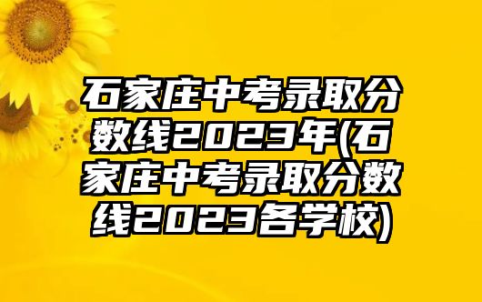 石家莊中考錄取分?jǐn)?shù)線2023年(石家莊中考錄取分?jǐn)?shù)線2023各學(xué)校)