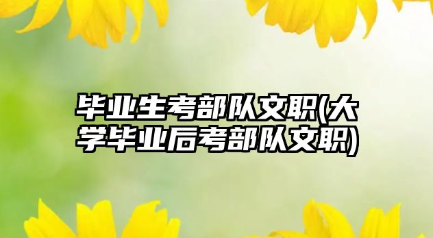 畢業(yè)生考部隊(duì)文職(大學(xué)畢業(yè)后考部隊(duì)文職)