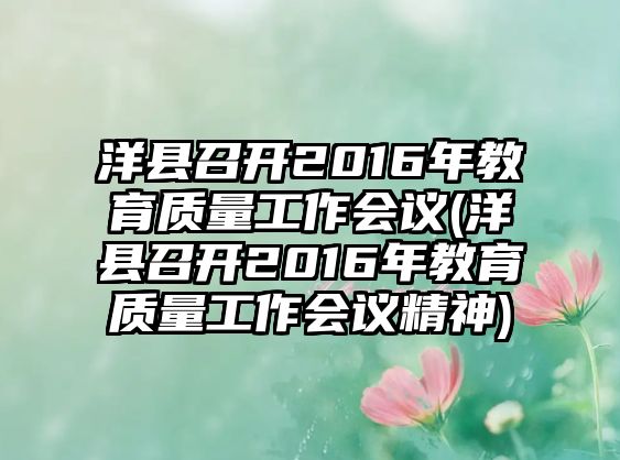 洋縣召開2016年教育質量工作會議(洋縣召開2016年教育質量工作會議精神)