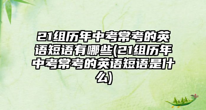 21組歷年中考?？嫉挠⒄Z(yǔ)短語(yǔ)有哪些(21組歷年中考?？嫉挠⒄Z(yǔ)短語(yǔ)是什么)