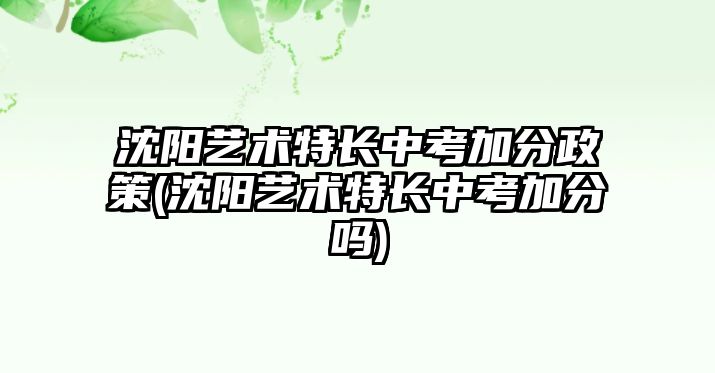 沈陽藝術特長中考加分政策(沈陽藝術特長中考加分嗎)