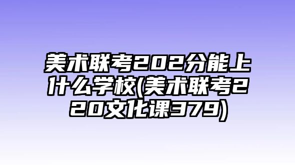 美術(shù)聯(lián)考202分能上什么學校(美術(shù)聯(lián)考220文化課379)