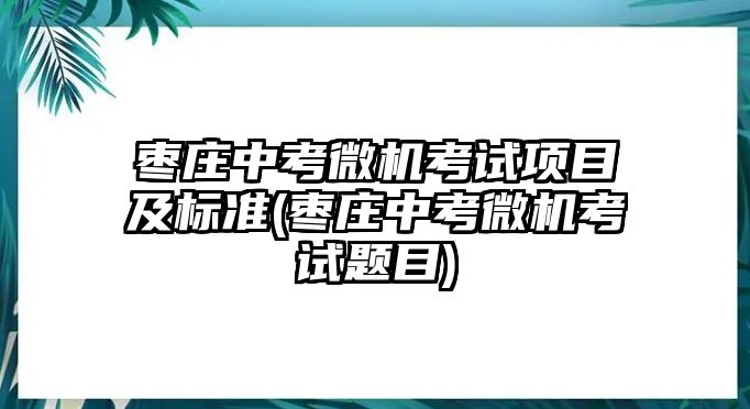 棗莊中考微機考試項目及標準(棗莊中考微機考試題目)