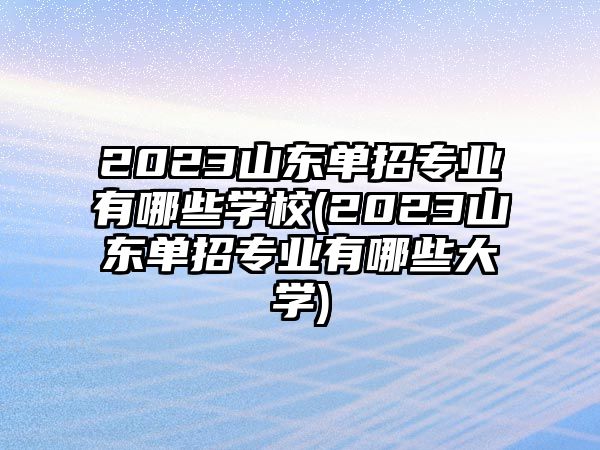 2023山東單招專業(yè)有哪些學(xué)校(2023山東單招專業(yè)有哪些大學(xué))