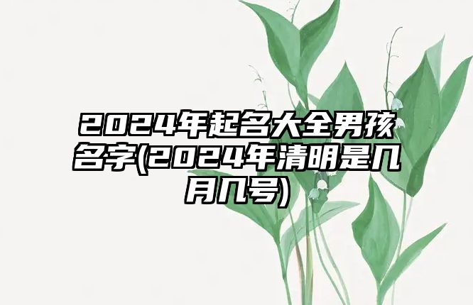 2024年起名大全男孩名字(2024年清明是幾月幾號(hào))