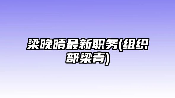 梁晚晴最新職務(wù)(組織部梁青)