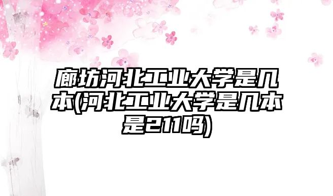 廊坊河北工業(yè)大學是幾本(河北工業(yè)大學是幾本是211嗎)