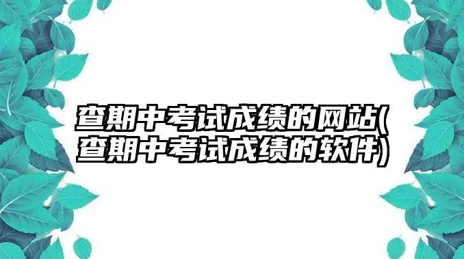 查期中考試成績(jī)的網(wǎng)站(查期中考試成績(jī)的軟件)